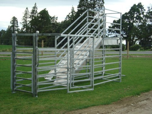 Cattle Ramps | Donald Engineering Ltd